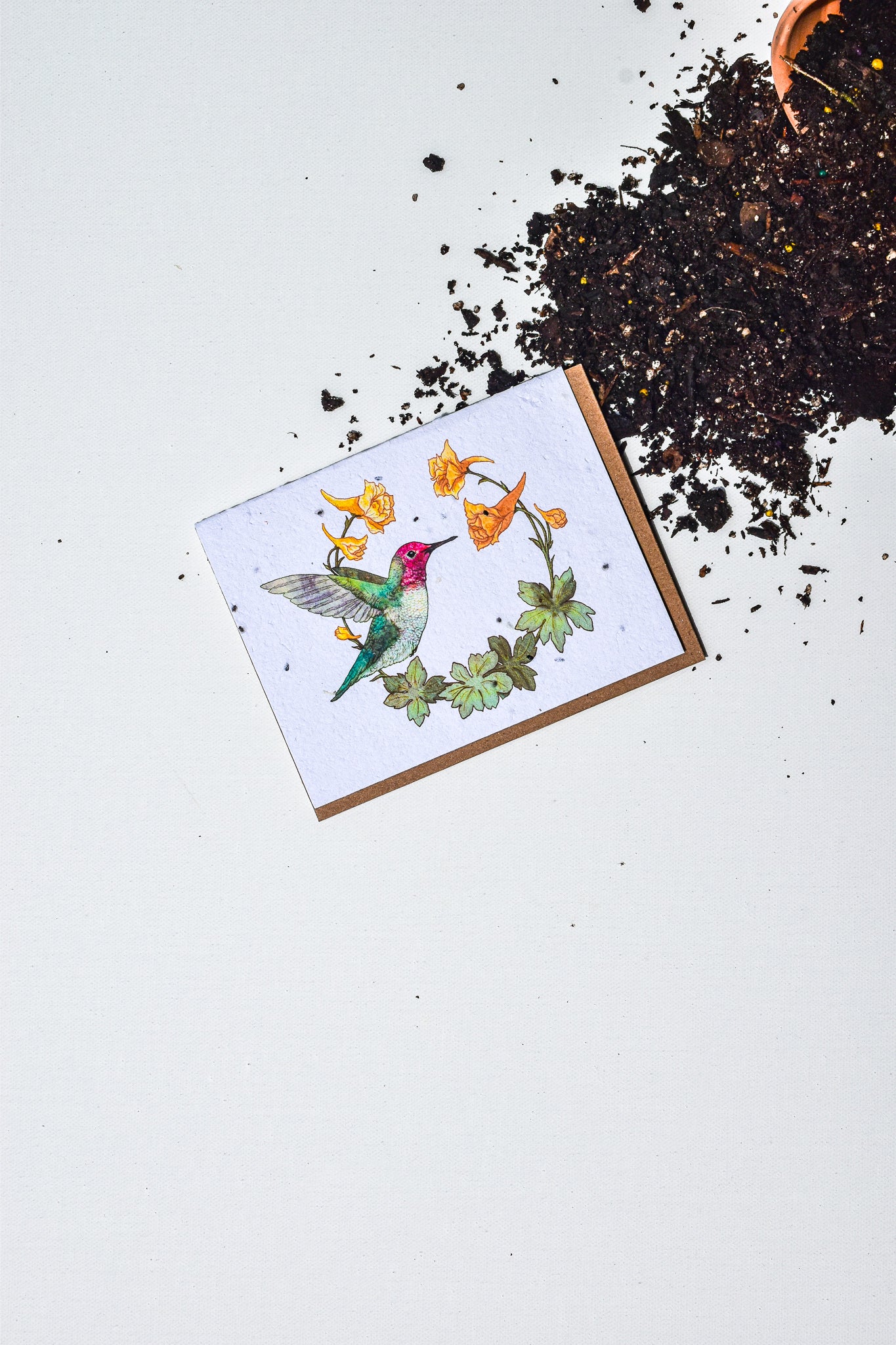 Hummingbird & Larkspur Plantable Herb Card - Belle's Greenhouse