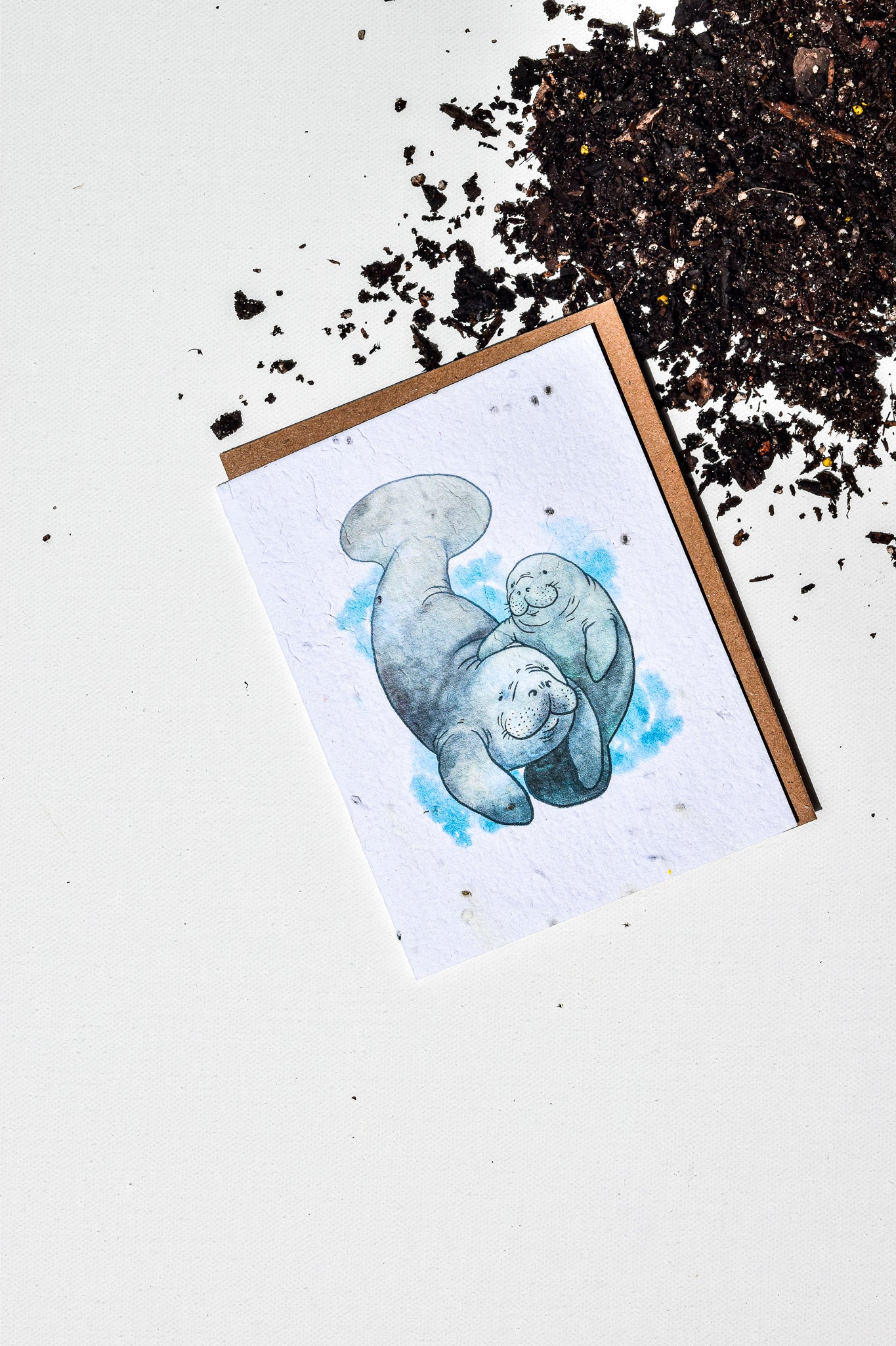 Manatees Plantable Herb Card - Belle's Greenhouse