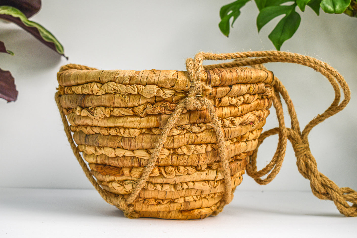 Natural Seagrass Hanging Planter - Belle's Greenhouse
